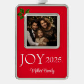 Framed Photo  Rahmen-Ornament Silber (Vorderseite)