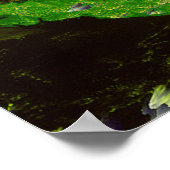 Fran Off Florida - Satellitenbild von 1996 Poster (Ecke)