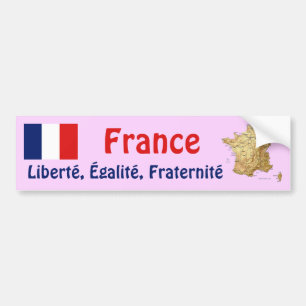 France Flag + Map Autoaufkleber