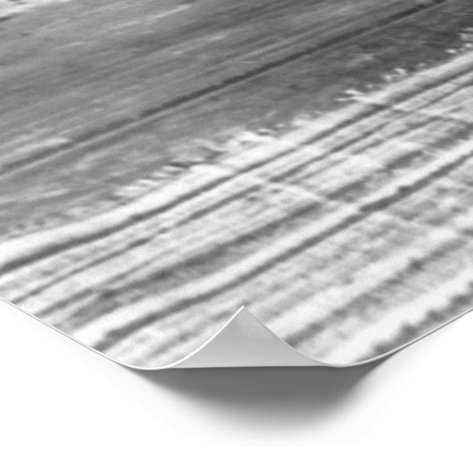 Frances Benjamin Johnston, 1896 Poster (Ecke)