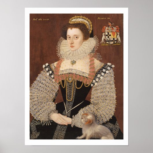 Frances Clinton, Lady Chandos (1552-1623) 1579 (oi Poster (Vorne)