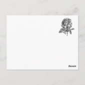 Frances Duncombe Postkarte (Rückseite)