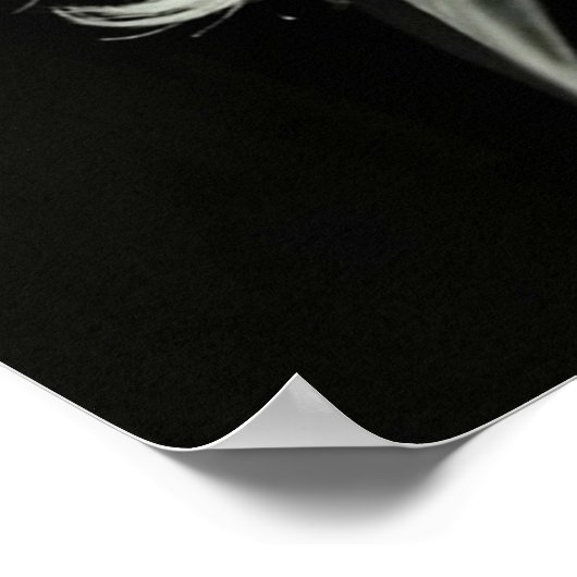 Frances Ha 2 Poster (Ecke)