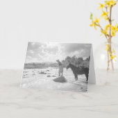 Frances Phelps Belden fly fishing in the river Karte (Gelbe Blume)