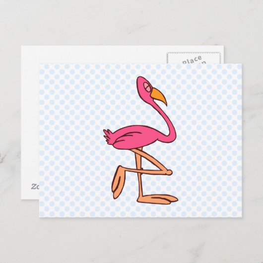 Francisco Flamingo Postkarte (Vorne/Hinten)