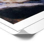 Francisco Goya Zedign Art Poster #514 (Ecke)