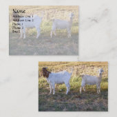 Franco und Friend Visitenkarte (Vorne/Hinten)