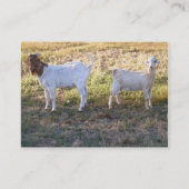 Franco und Friend Visitenkarte (Rückseite)