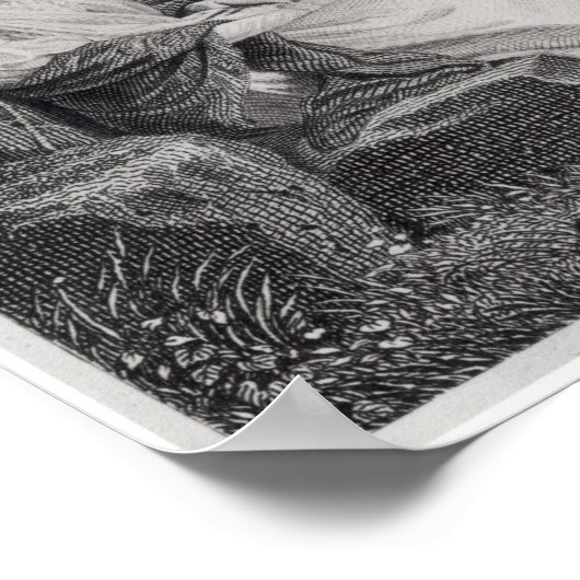 Francois Rene Vicomte de Chateaubriand Poster (Ecke)