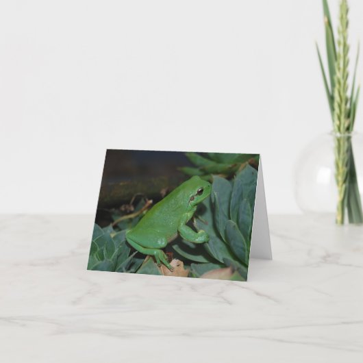 Francoise der Frosch Feiertagskarte (Vorderseite)
