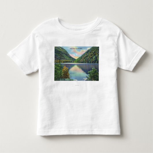 Franconia Kerben-Ansicht von Profile See Kleinkind T-shirt (Vorderseite)