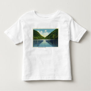 Franconia Kerben-Staats-Park-Ansicht von Profile Kleinkind T-shirt
