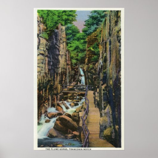 Franconia Notch State Park Poster (Vorne)