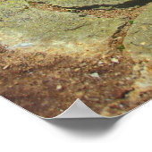 Franconia Ridge Trail Poster (Ecke)