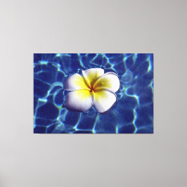 FRANGI 40x60 ÜBERSCHREITEN Leinwanddruck