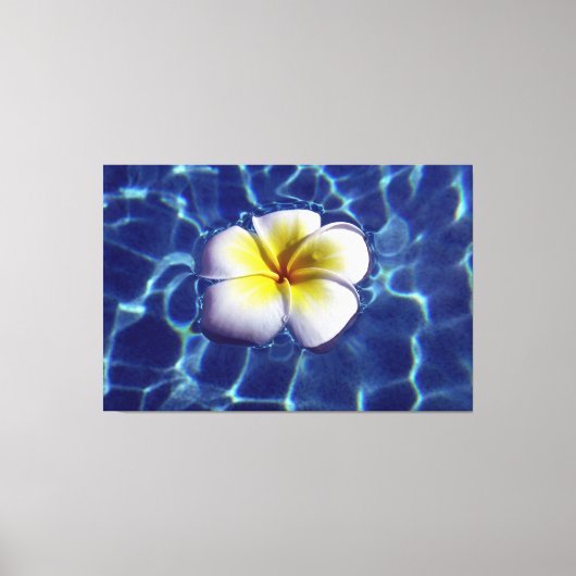 FRANGI 40x60 ÜBERSCHREITEN Leinwanddruck (Vorderseite)