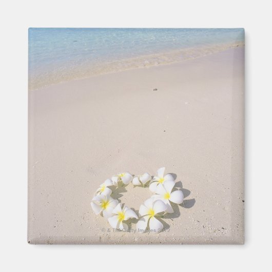 Frangipani am Strand Magnet (Vorne)