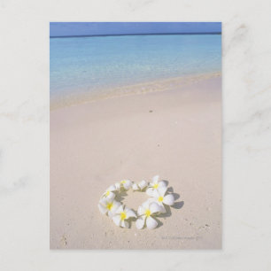 Frangipani am Strand Postkarte