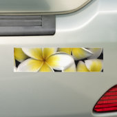 Frangipani Autoaufkleber (Auf Auto)