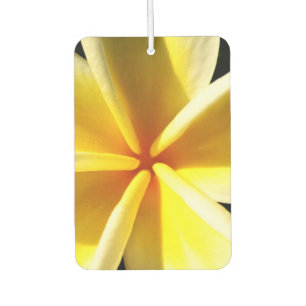 Frangipani Autolufterfrischer