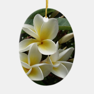 Frangipani-Baum Blüten Schicksal Frieden Liebe Flo Keramikornament