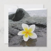 Frangipani Beach Hochzeit individuelle Einladungen (Rückseite)