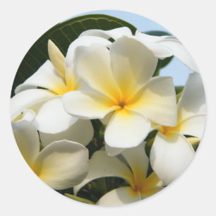 Frangipani Bliss Runder Aufkleber