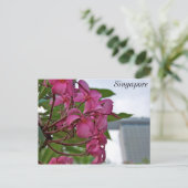 Frangipani Blossom an der Bucht Postkarte (Stehend Vorderseite)