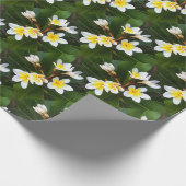 Frangipani Blossom Cluster Artistic Style Geschenkpapier (Ecke)