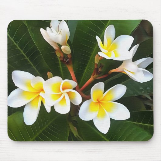 Frangipani Blossom Cluster Artistic Style Mousepad (Vorne)