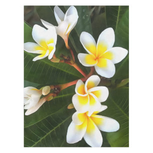 Frangipani Blossom Cluster Artistic Style Tischdecke