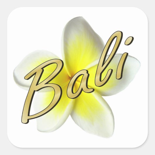 Frangipani Blossom Quadratischer Aufkleber (Vorderseite)