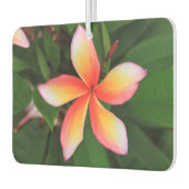 Frangipani Blume Autolufterfrischer (Links)