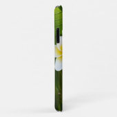 Frangipani-Blume Case-Mate iPhone Hülle (Hinten/Rechts)