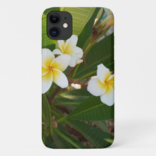Frangipani-Blume Case-Mate iPhone Hülle (Rückseite)