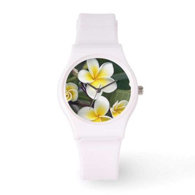 Frangipani Blume Cook Islands Armbanduhr (Vorderseite)