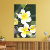 Frangipani Blume Cook Islands Leinwanddruck (Insitu (Wohnzimmer))