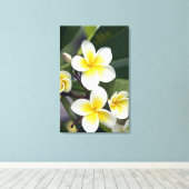 Frangipani Blume Cook Islands Leinwanddruck (Insitu (Holzboden))