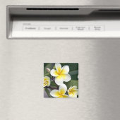 Frangipani Blume Cook Islands Magnet (In Situ (Geschirrspüler))