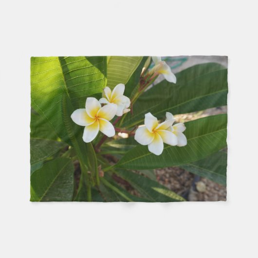 Frangipani-Blume Fleecedecke (Vorderseite (Horizontal))
