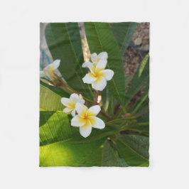 Frangipani-Blume Fleecedecke