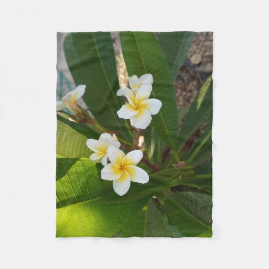 Frangipani-Blume Fleecedecke (Vorderseite)