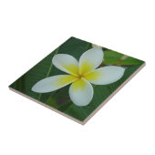 Frangipani-Blume Fliese (Seite)