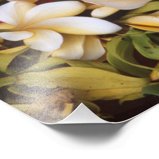 Frangipani Blume Foto Print (Ecke)