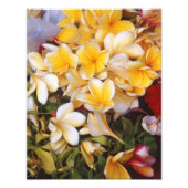 Frangipani Blume Foto Print (Vorne)