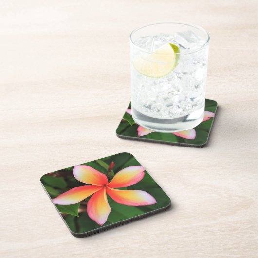Frangipani Blume Getränkeuntersetzer (Rechte Seite)