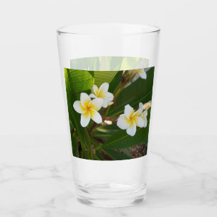 Frangipani-Blume Glas
