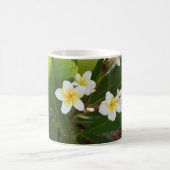 Frangipani-Blume Kaffeetasse (Mittel)