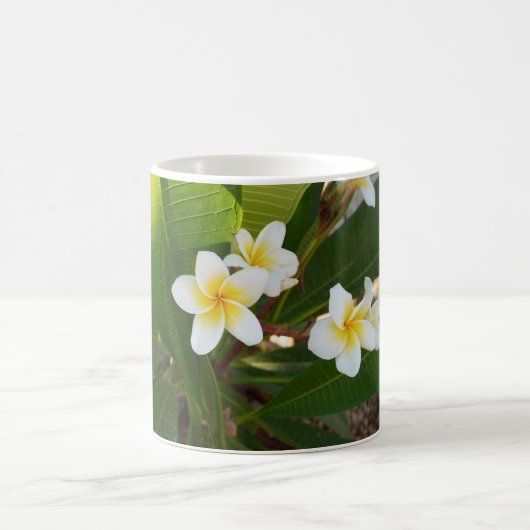 Frangipani-Blume Kaffeetasse (Mittel)