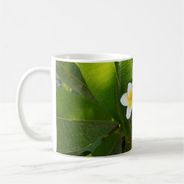 Frangipani-Blume Kaffeetasse